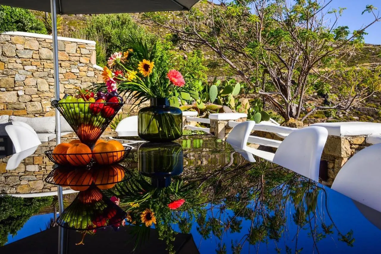 Villa Agnes Mykonos Mykonos Town Yunanistan